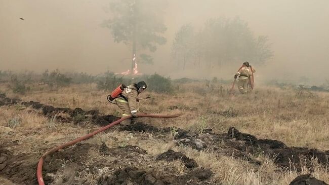 Сотрудники МЧС во время тушения лесного пожара в Челябинской области