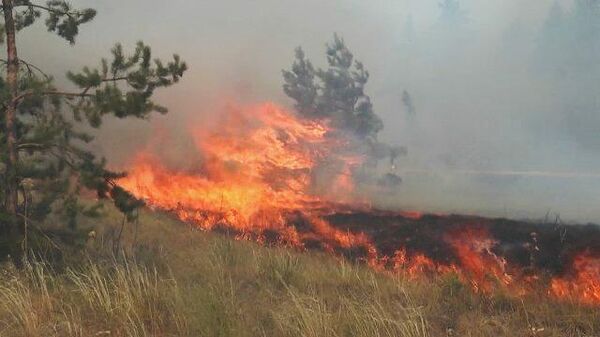Лесные пожары в Якутии и Челябинской области