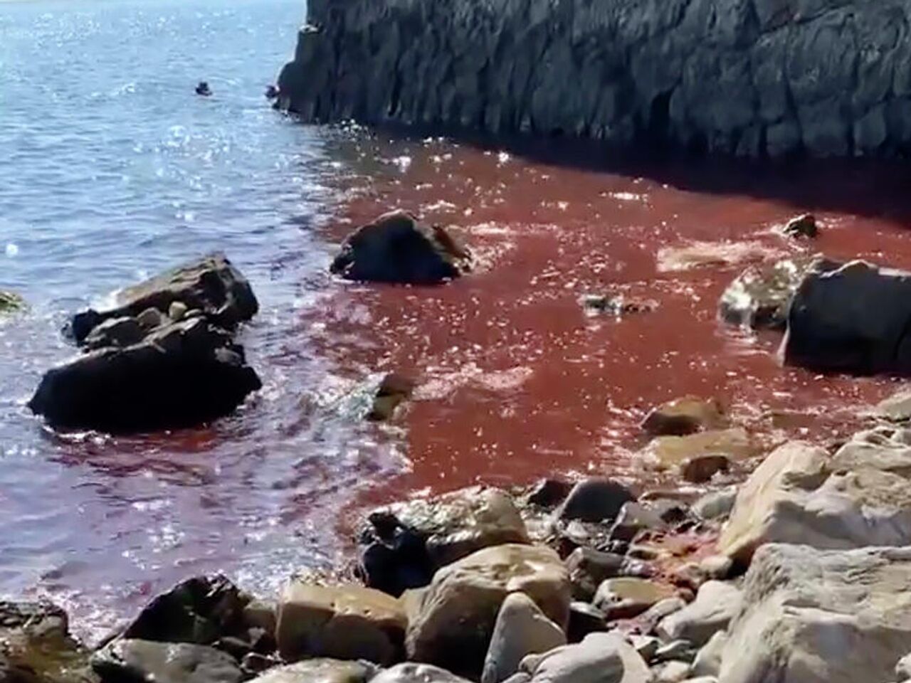 вода в красном море