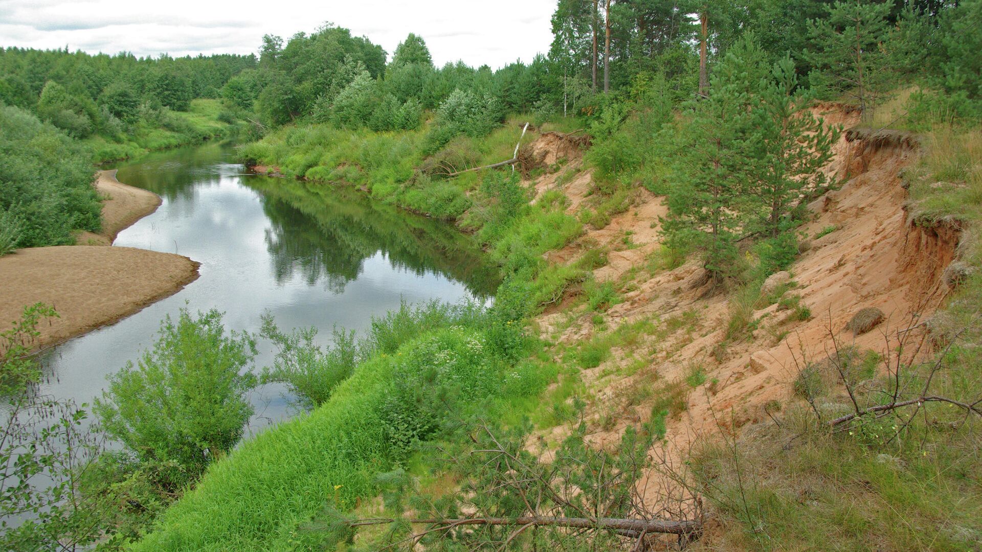 Река Холова, Новгородская область - РИА Новости, 1920, 12.07.2021