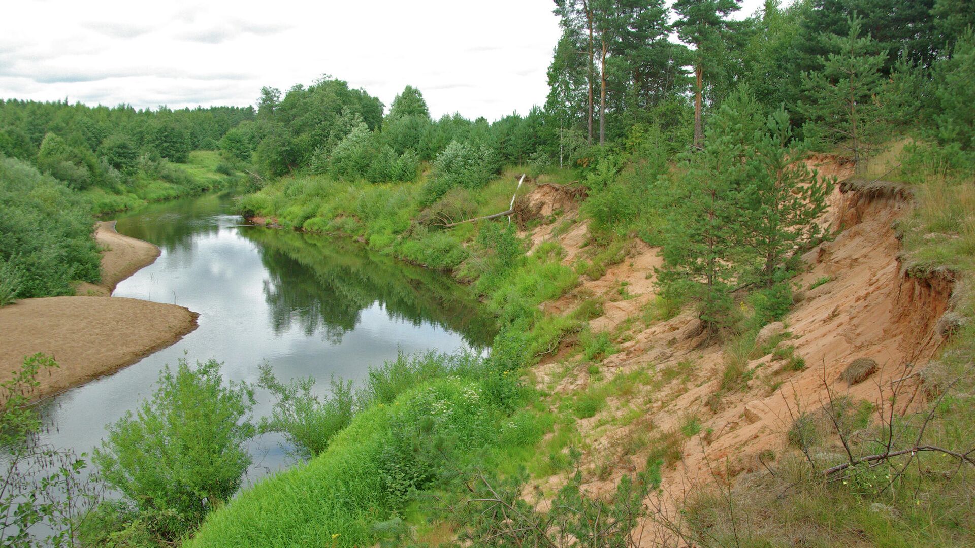 Река Холова, Новгородская область - РИА Новости, 1920, 12.07.2021