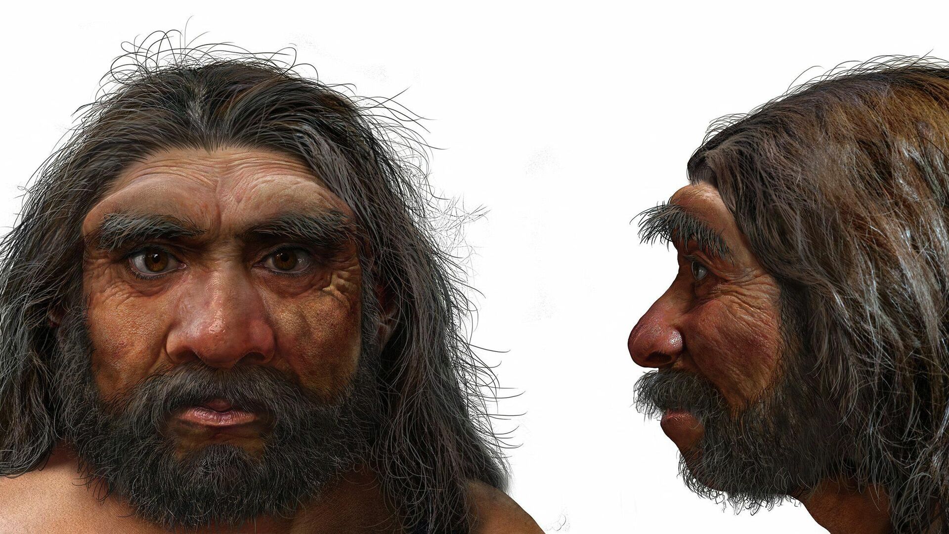 Вид человека, найденный в Китае в Харбине. Его назвали Homo longi — человек-дракон. Компьютерная реконструкция - РИА Новости, 1920, 15.07.2021