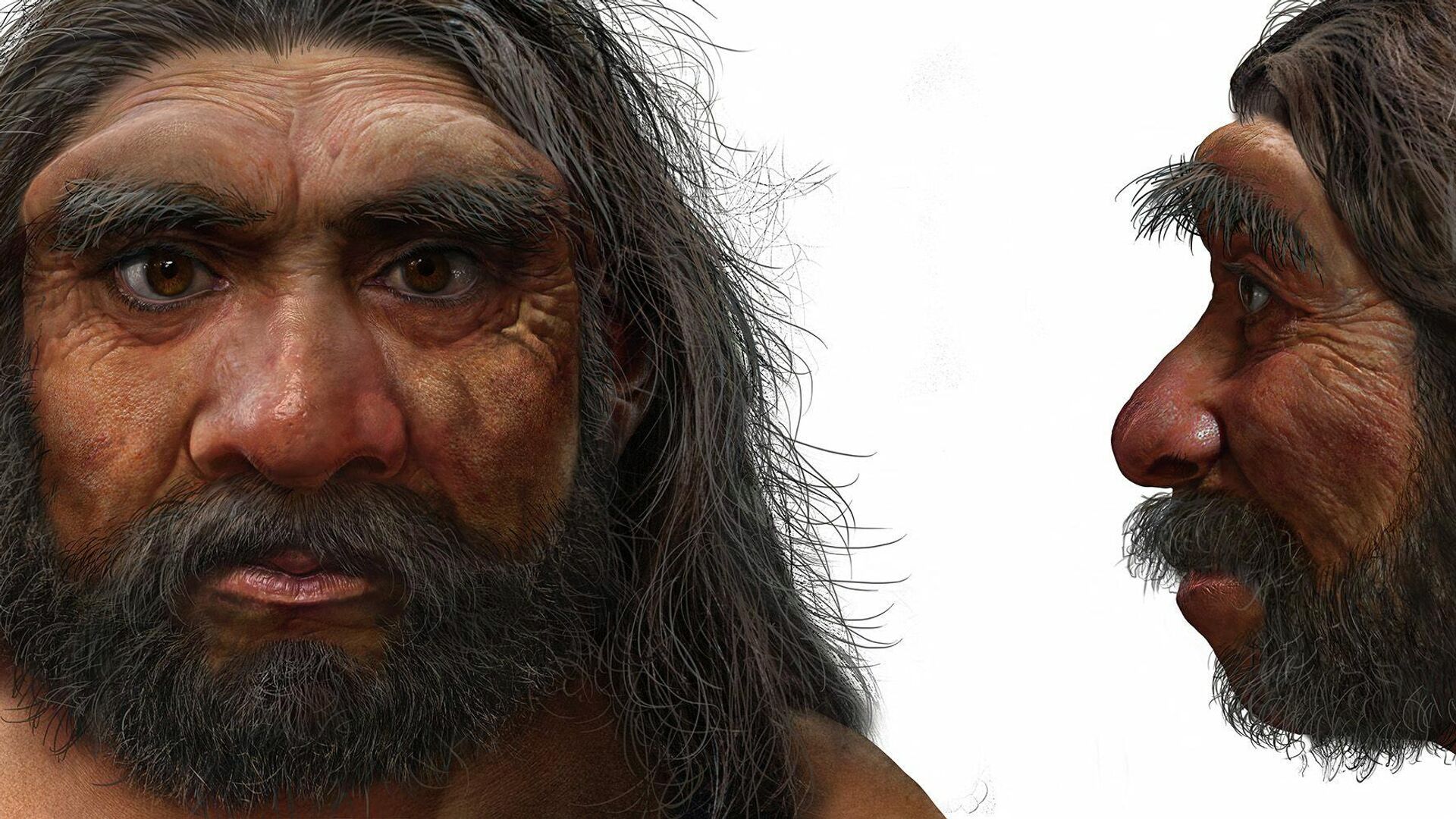 Вид человека, найденный в Китае в Харбине. Его назвали Homo longi — человек-дракон. Компьютерная реконструкция - РИА Новости, 1920, 15.07.2021