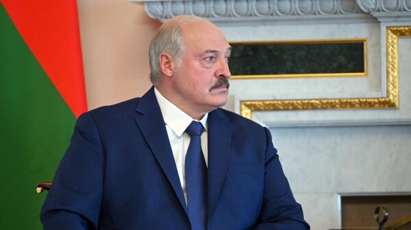 Президент Белоруссии Александр Лукашенко во время встречи с президентом РФ Владимиром Путиным