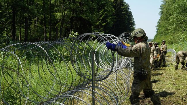 Солдаты литовской армии устанавливают забор из колючей проволоки на границе с Белоруссией в городе Друскининкай 