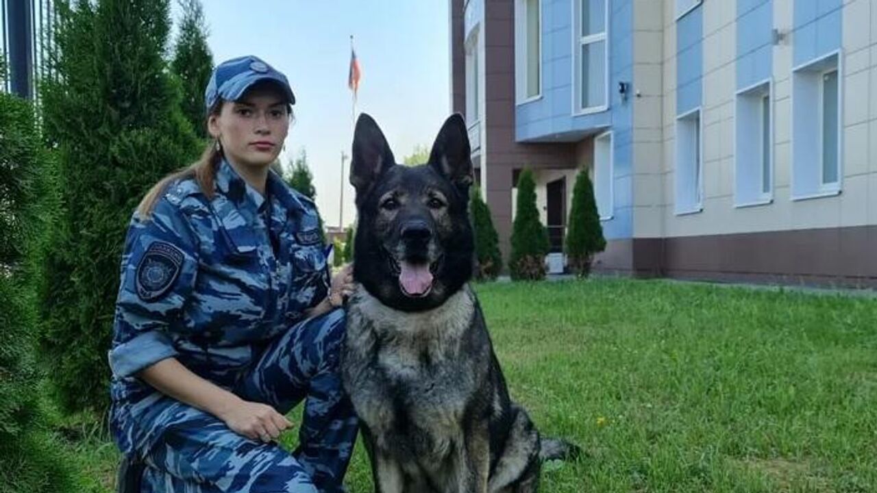 Полицейская собака помогла задержать насильника в Петербурге - РИА Новости,  19.08.2021