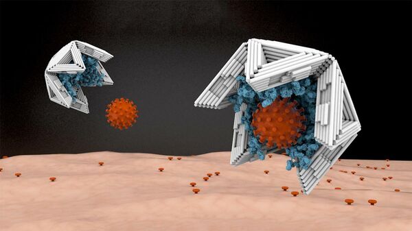 Нанооболочки, построенные по технологии ДНК-оригами, покрытые изнутри связывающими вирус молекулами, работают как вирусные ловушки