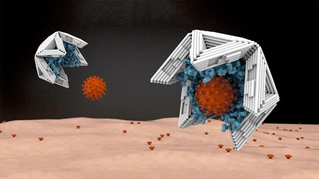 Нанооболочки, построенные по технологии ДНК-оригами, покрытые изнутри связывающими вирус молекулами, работают как вирусные ловушки