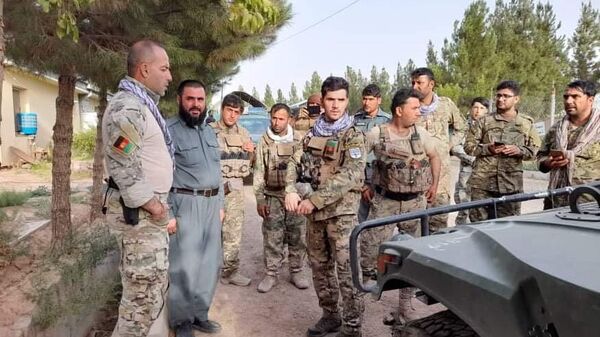 Военнослужащие правительственных войск Афганистана на линии соприкосновения с Талибами (запрещено в РФ) в Герате
