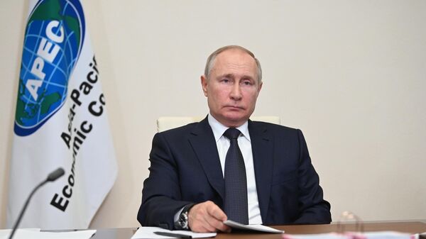 Президент РФ Владимир Путин участвует в неформальной встрече лидеров экономик форума АТЭС. Архив