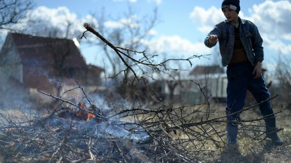 Дачники сжигают старые ветки на приусадебном участке в Новгородской области