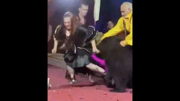 Момент нападения медведя на дрессировщицу в цирке-шапито