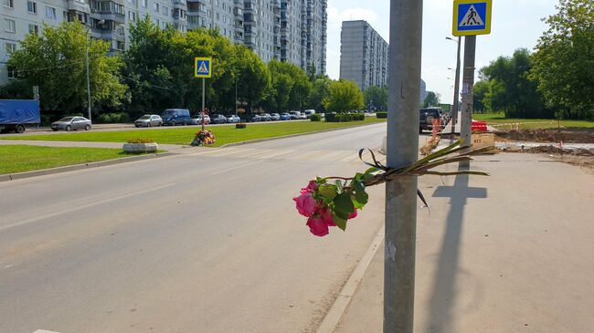 Цветы в память о погибших детях на месте ДТП на пешеходном переходе на улице Авиаторов в Москве