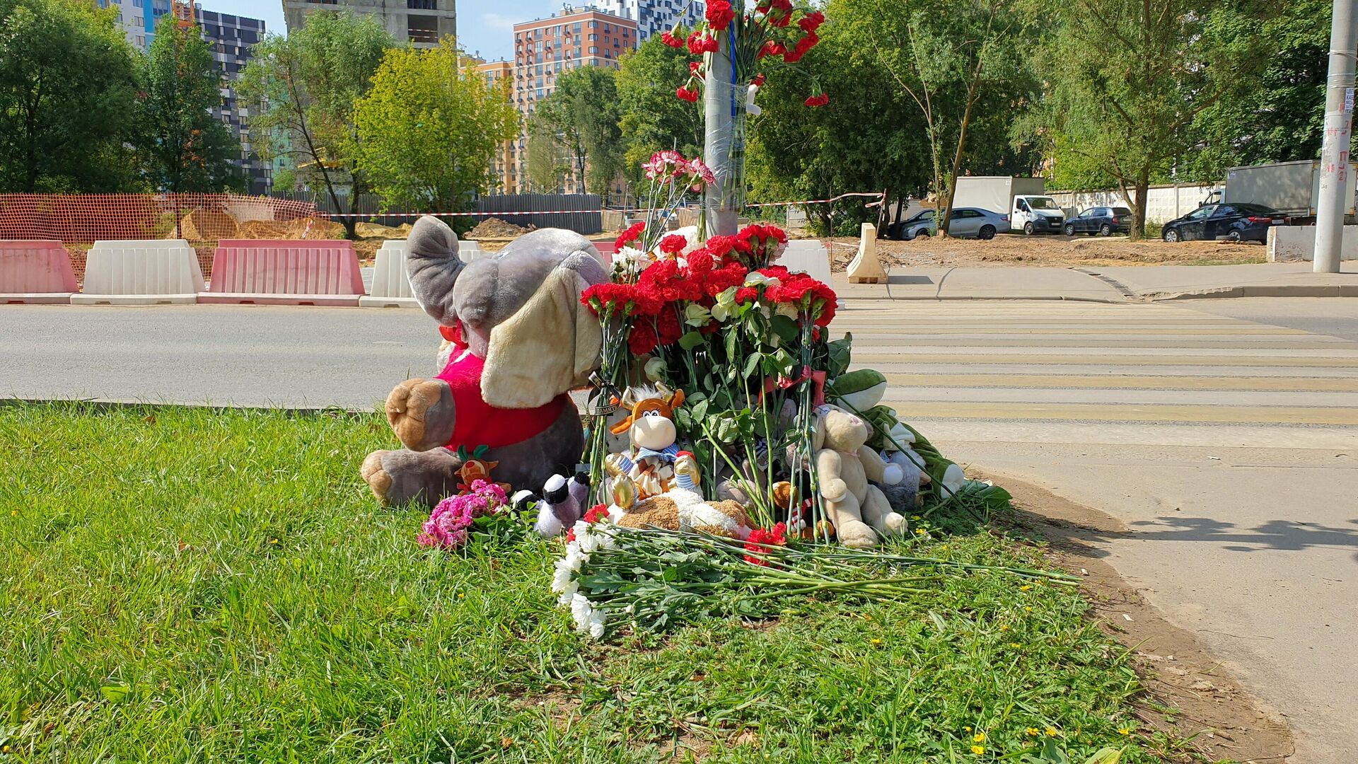 Цветы в память о погибших детях на месте ДТП на пешеходном переходе на улице Авиаторов в Москве - РИА Новости, 1920, 31.07.2021