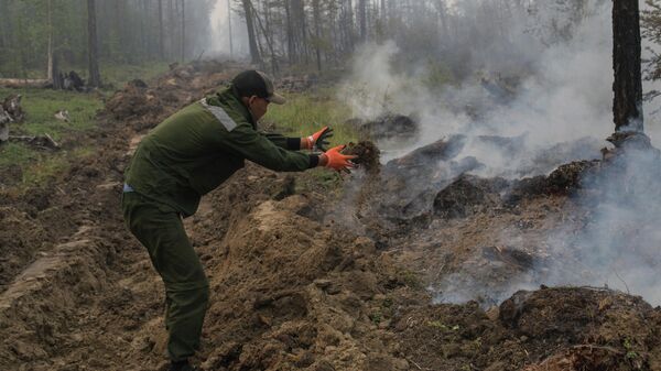 Люди копают траншеи во время тушение лесных пожаров в Якутии