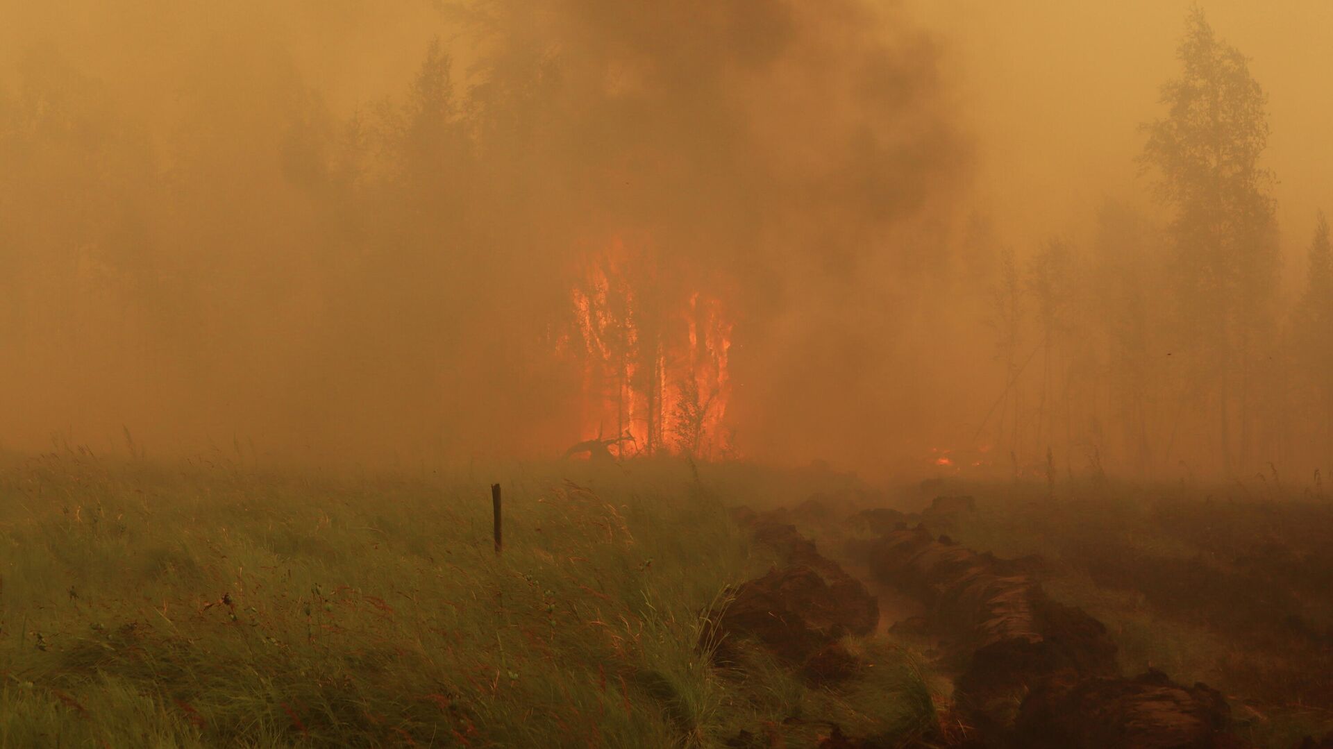 Лесной пожар в Якутии - РИА Новости, 1920, 27.07.2021