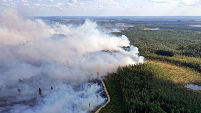 Природные пожары в Карелии