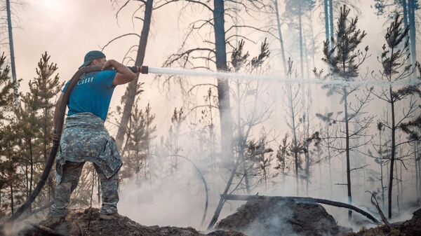 Сотрудник МЧС России во время тушения лесных пожаров в Якутии