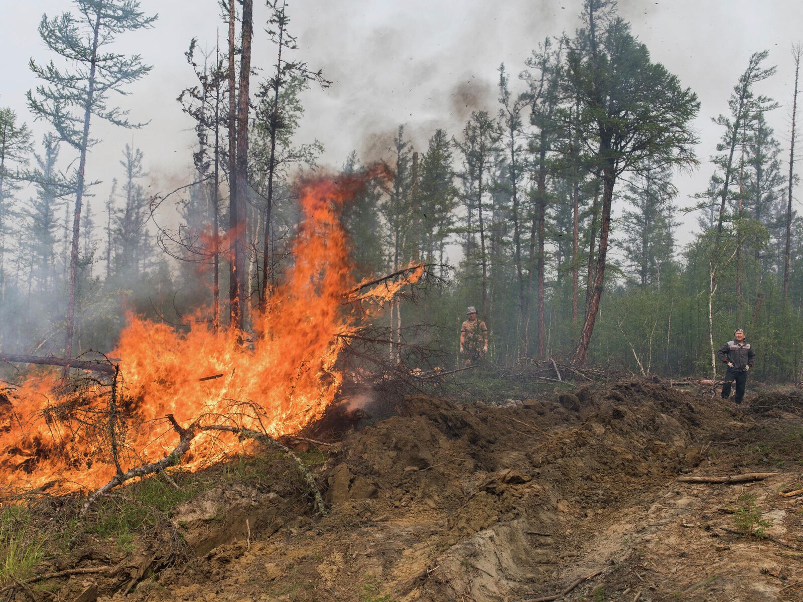 Лесные пожары в Нижегородской области 2021