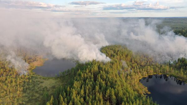 Горящие леса в районе Сямозера в Пряжинском районе Карелии