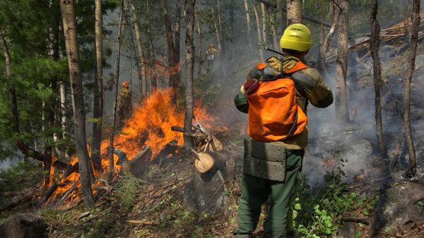 Сотрудники Авиалесоохраны проводят противопожарные мероприятия для препятствия распространению лесных пожаров в Якутии