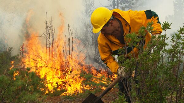 Сотрудник Авиалесоохраны в зоне природного пожара в лесу
