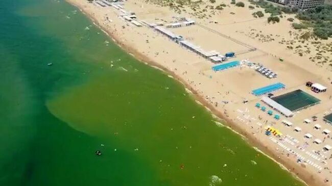 Вода анапского побережья окрасилась в зеленый цвет