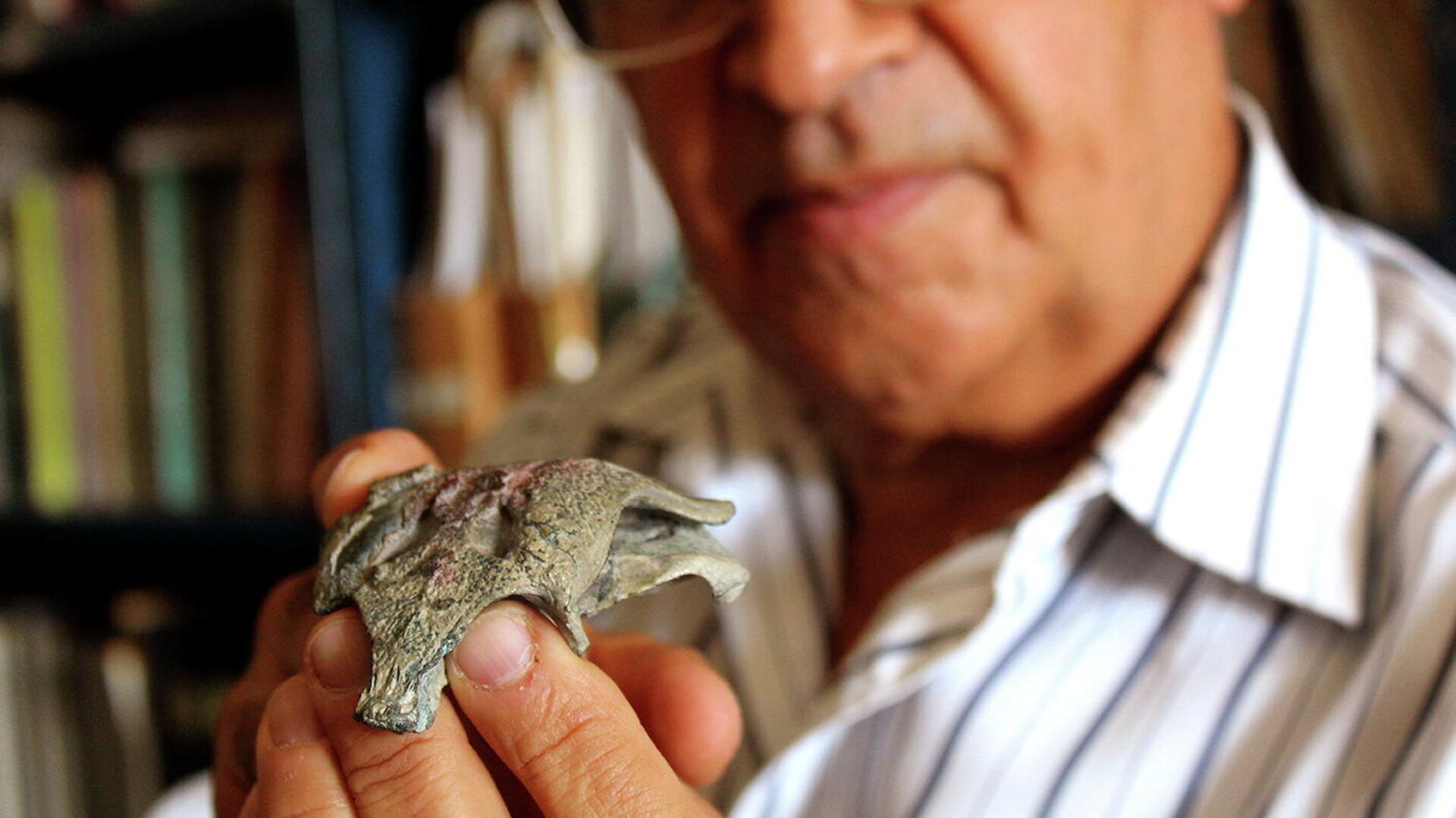 Палеонтолог Фернандо Новас держит ископаемый череп Burkesuchus mallingrandensis в Буэнос-Айресе, Аргентина - РИА Новости, 1920, 23.07.2021