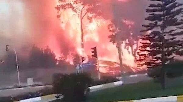 Затянуло дымом: сильный лесной пожар в районе Антальи 