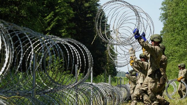 Солдаты литовской армии устанавливают колючую проволоку на границе с Белоруссией