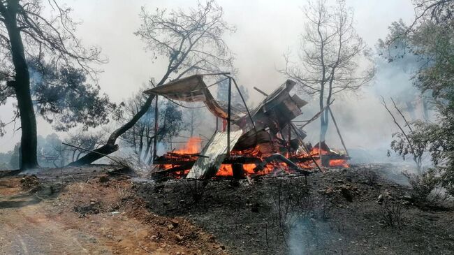 Лесной пожар в Анталье, Турция