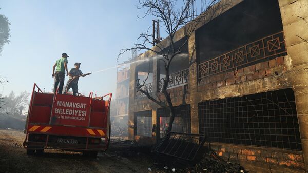 Турецкие пожарные во время ликвидации последствий лесного пожара в Анталье