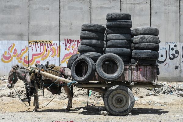 Осел с тележкой загруженной шинами в Кабуле