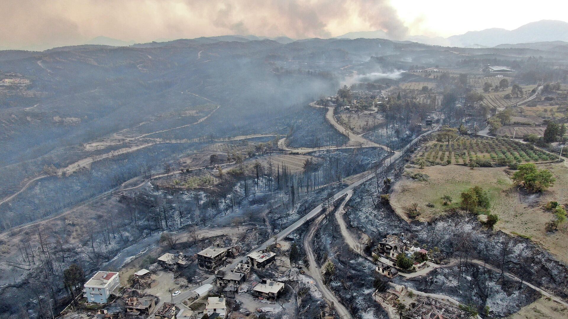 Последствия лесных пожаров в Манавгате, провинция Анталья, Турция - РИА Новости, 1920, 29.07.2021
