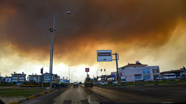 Дым от лесных пожаров в Манавгате, провинция Анталья, Турция