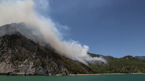 Лесной пожар в Манавгате, провинция Анталья, Турция