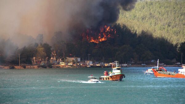 Дым поднимается от лесного пожара в прибрежном городе Бодрум, Турция