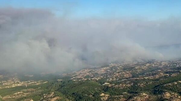 Дым от лесных пожаров в Турции