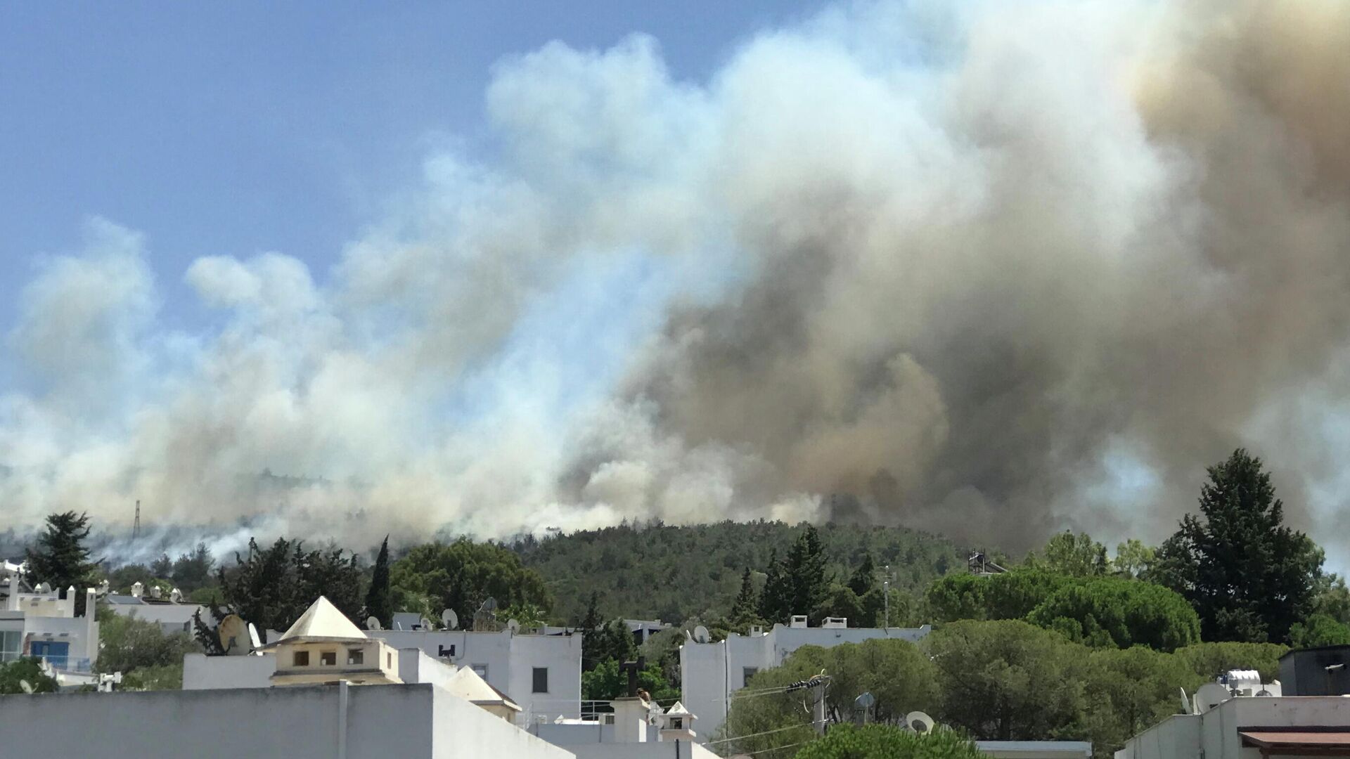 Дым от лесного пожара поднимается возле жилого района на курорте Бодрум, Турция - РИА Новости, 1920, 31.07.2021