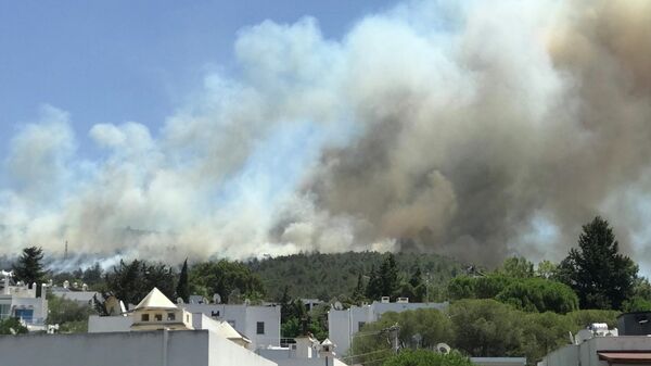 Дым от лесного пожара поднимается возле жилого района на курорте Бодрум, Турция