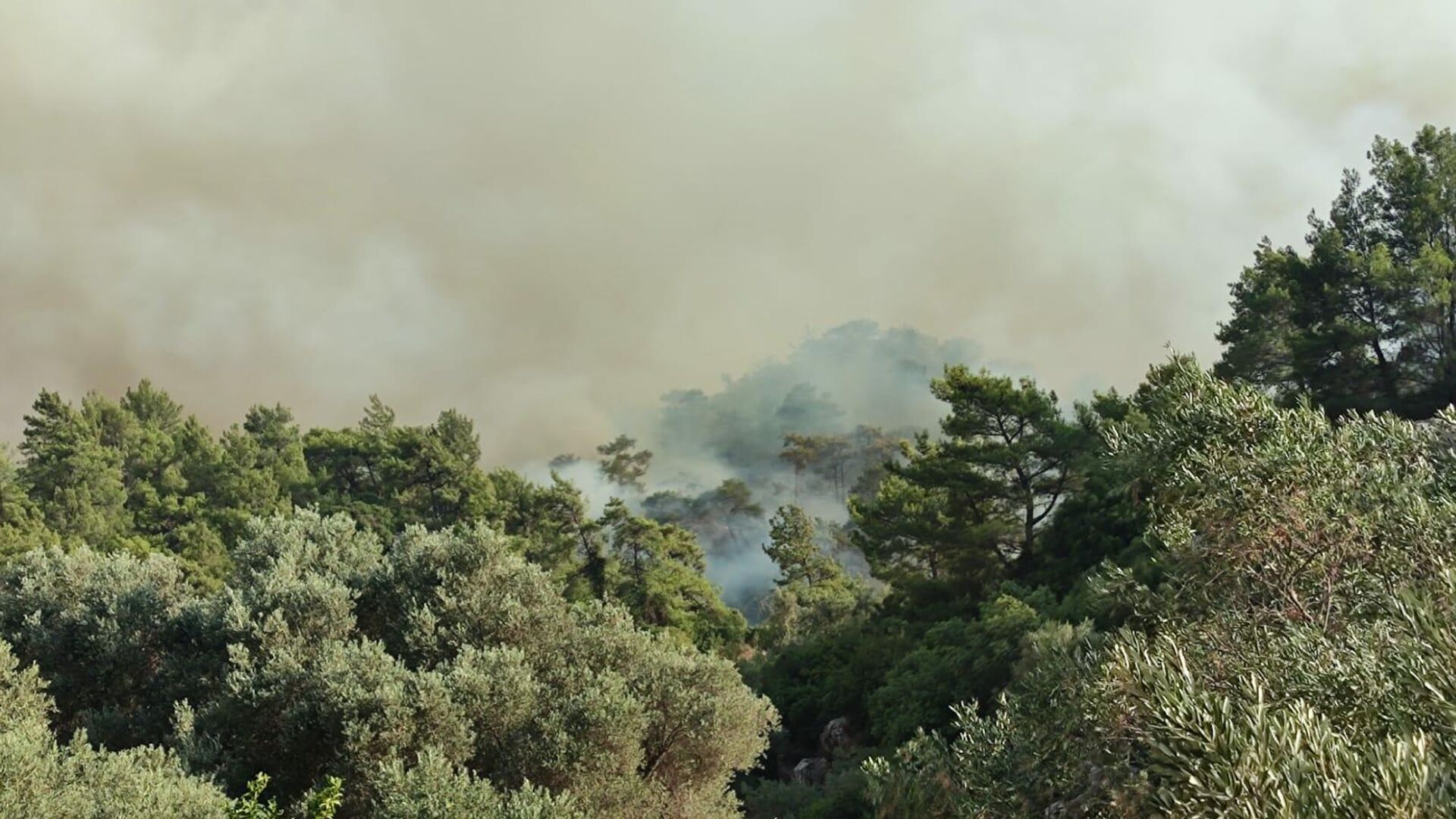 Дым от лесных пожаров в районе деревни Хисарёню в окрестностях турецкого города Мармарис - РИА Новости, 1920, 07.08.2021