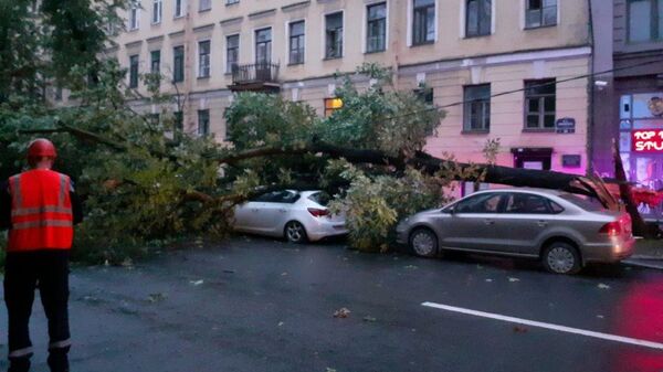Последствия сильного ветра в Санкт-Петербурге