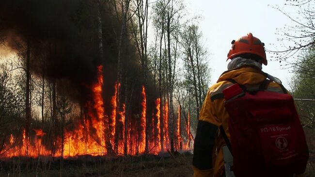 Тушение лесных пожаров в Якутии. Кадр видео