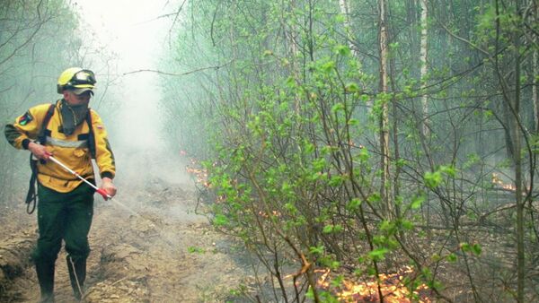 Тушение лесного пожара в Якутии. Кадр видео