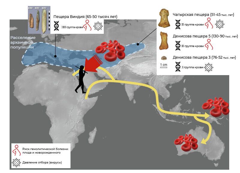 Расселение архаичной популяции - РИА Новости, 1920, 04.08.2021