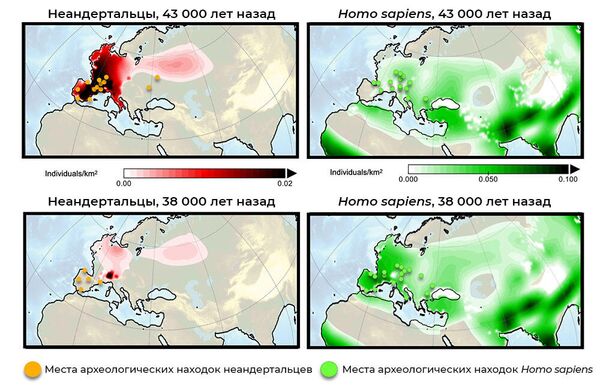 Результаты компьютерного моделирования плотности населения неандертальцев (слева) и Homo sapiens (справа) в Европе Результаты компьютерного моделирования плотности населения неандертальцев (слева) и Homo sapiens (справа) в Европе