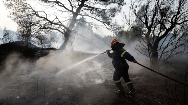 Пожарный во время тушения лесного пожара в пригороде Афин 