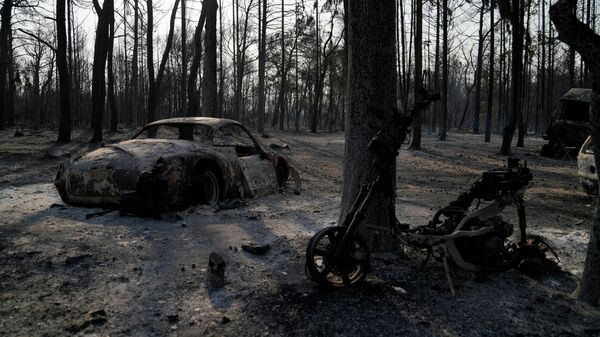 Последствия лесного пожара в пригороде Афин Варибоби