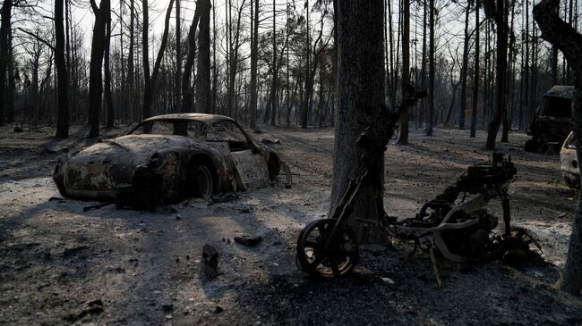 Последствия лесного пожара в пригороде Афин  