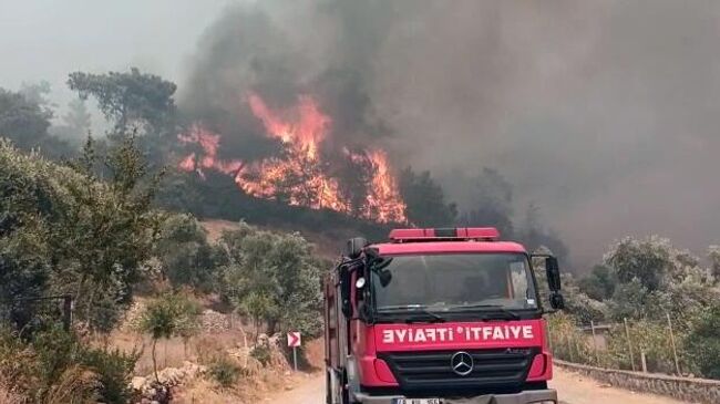 Лесной пожар в Турции